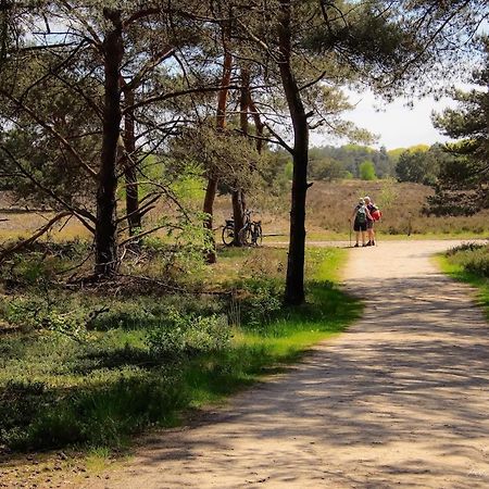 Vakantiehuis In Een Prachtige Bosrijke Omgeving In Twente! Bornerbroek Ngoại thất bức ảnh
