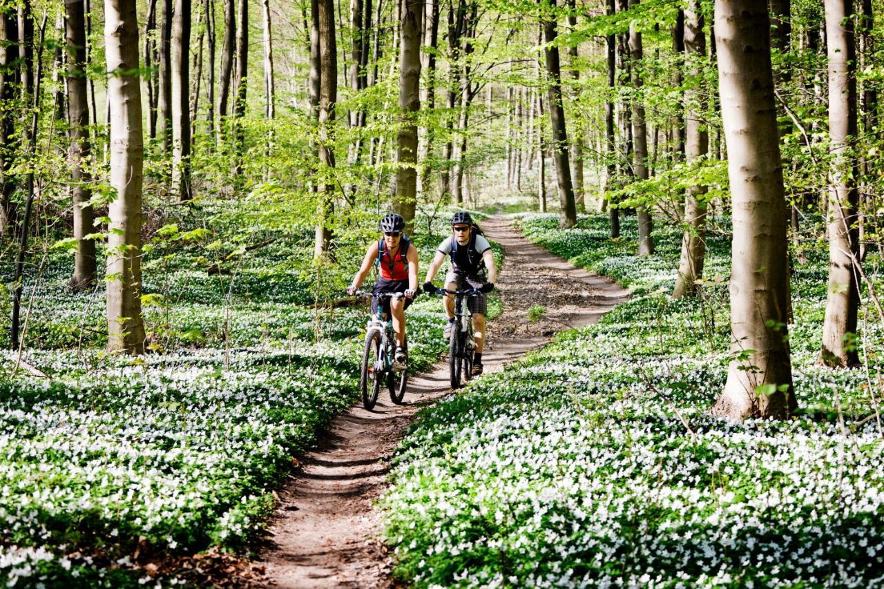 Vakantiehuis In Een Prachtige Bosrijke Omgeving In Twente! Bornerbroek Ngoại thất bức ảnh