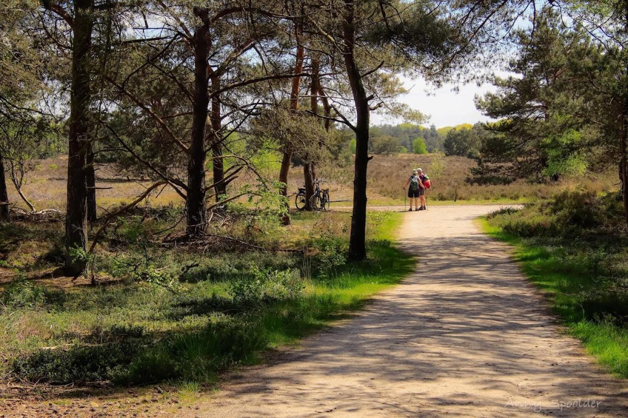 Vakantiehuis In Een Prachtige Bosrijke Omgeving In Twente! Bornerbroek Ngoại thất bức ảnh